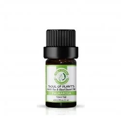 Edy's Organics  Palmarosa Essential Oil 5 ml Edy's Organics  Palmarosa Essential Oil 5 ml
