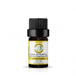 Edy's Organics Ylang Ylang (Cananga) Essential Oil 5 ml Edy's Organics Ylang Ylang (Cananga) Essential Oil 5 ml