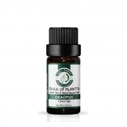 Edy's Organics Eucalyptus Essential Oil 10 ml