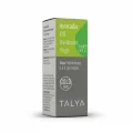 Talya Bitkisel Avocado Oil 20 ml Talya Bitkisel Avocado Oil 20 ml