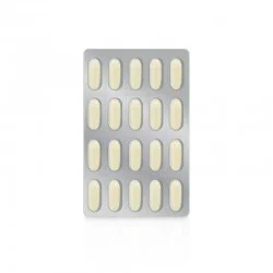 Zade Vital Royal Jelly 1000mg 40 Capsules Zade Vital Royal Jelly 1000mg 40 Capsules